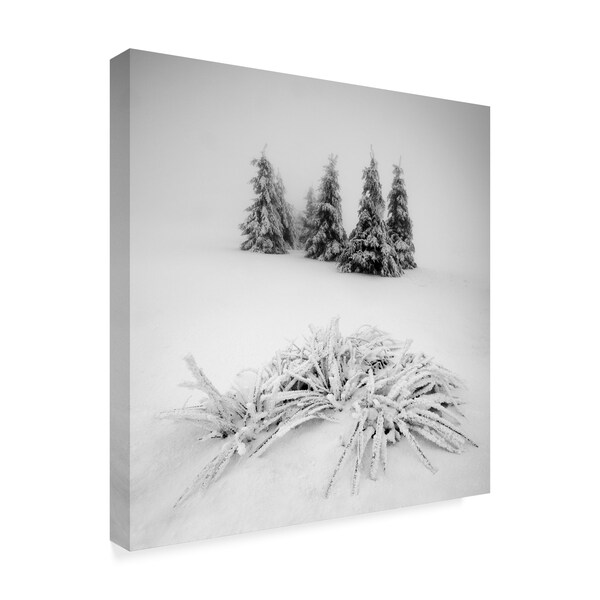 Daniel Rericha 'Winter Scenery' Canvas Art,14x14